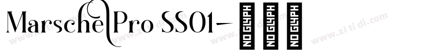 MarschelPro SS01字体转换